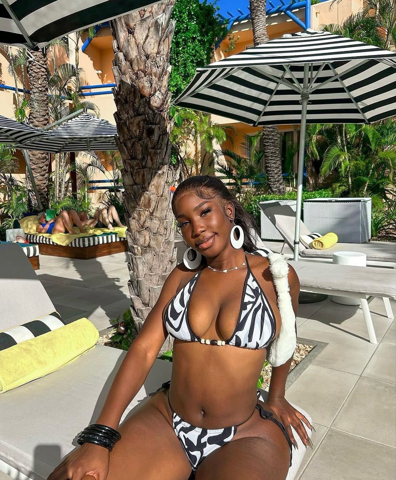 Amira 1