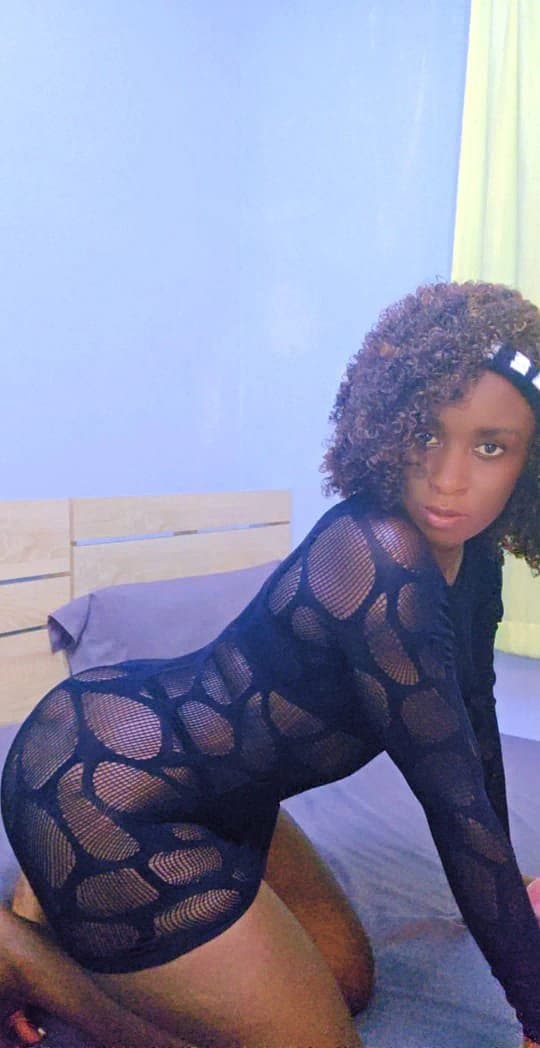 Sherry, Wild African Queen 1
